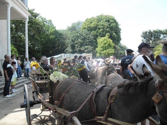 fete ane 2014 (33).jpg